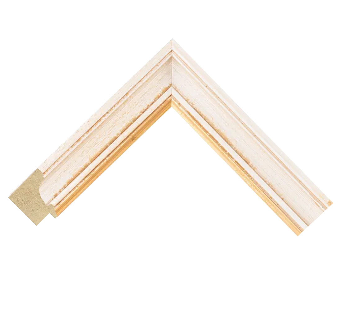 Bologna Bianco