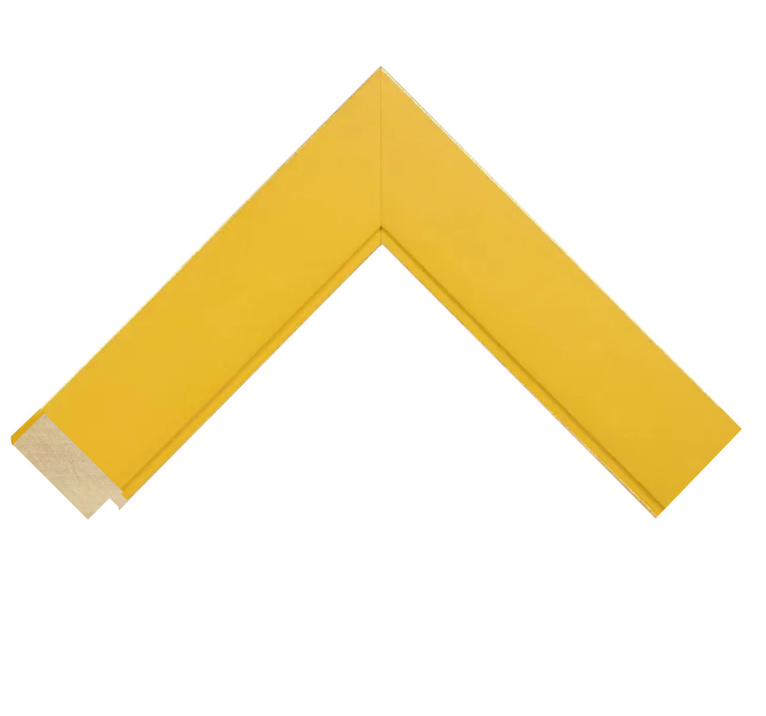 Palette Mustard Yellow & Gold