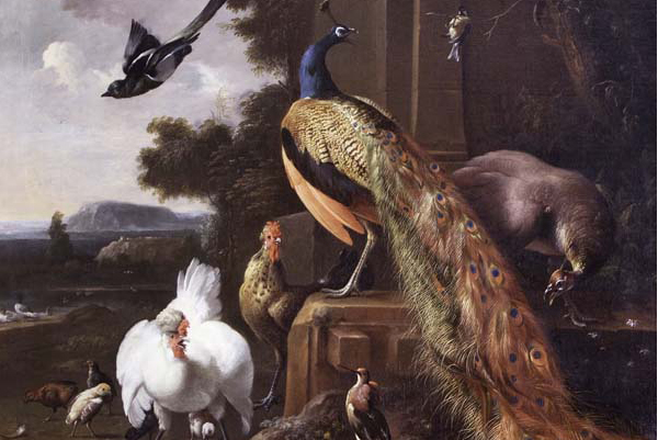 M. de Hondecoeter